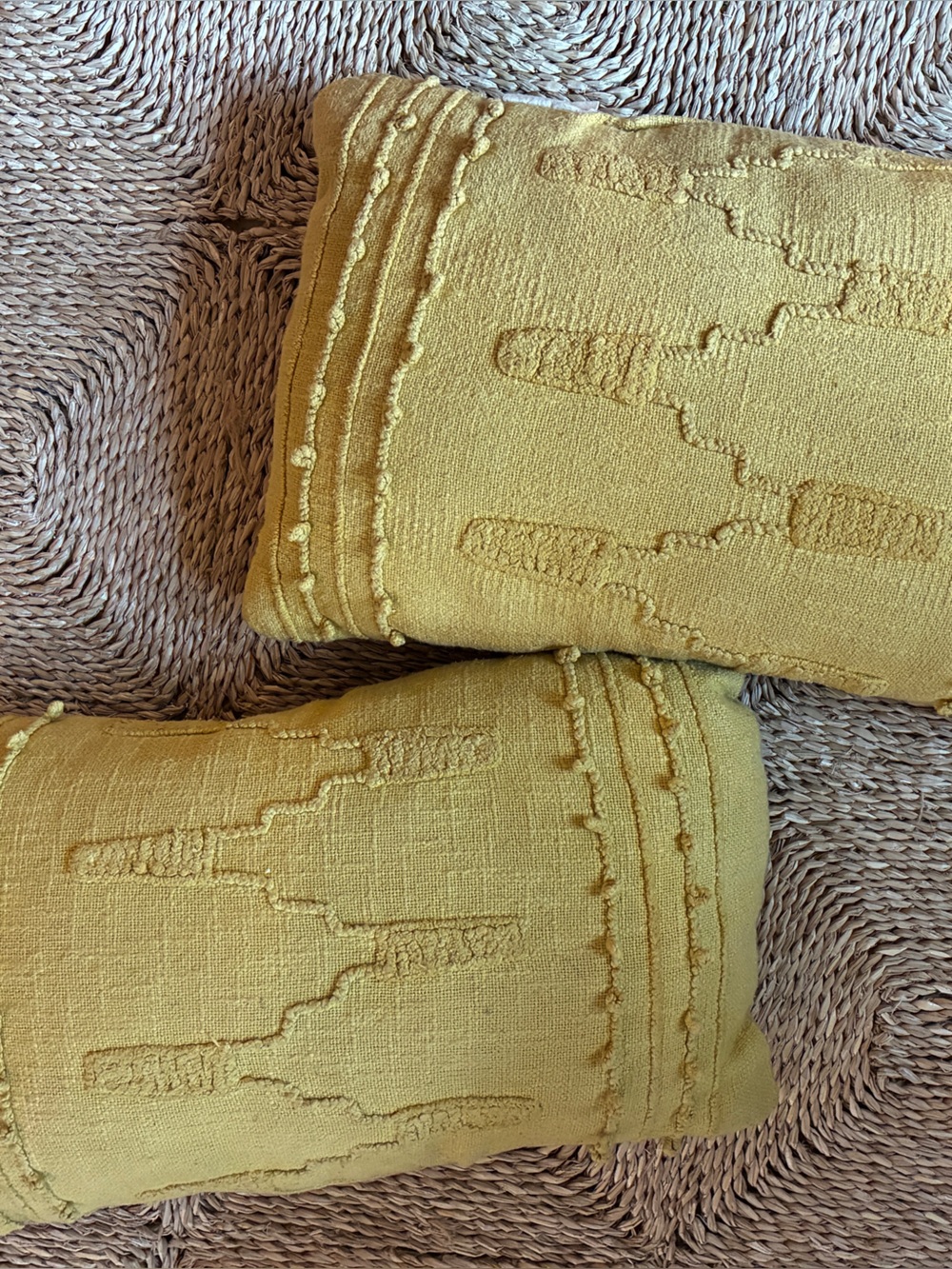 Blue Loom Wren Cotton Slub Throw Pillows (2)